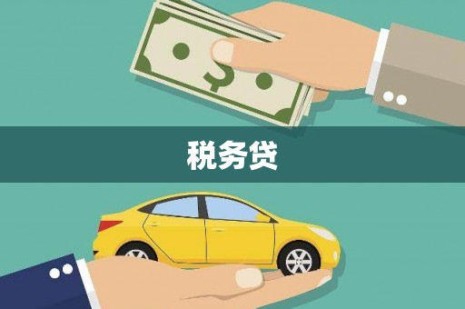 张家界税务贷