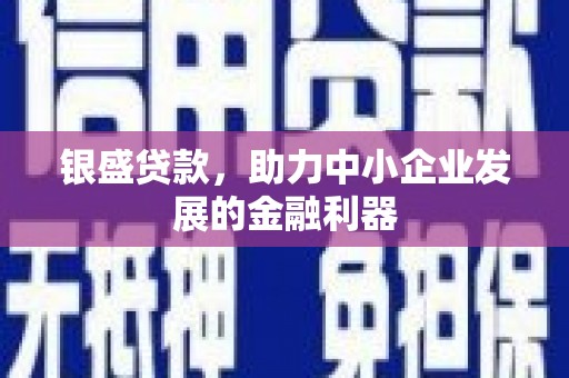 张家界银盛贷款，助力中小企业发展的金融利器