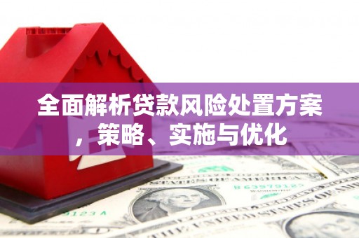 张家界全面解析贷款风险处置方案，策略、实施与优化