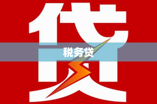 张家界税务贷