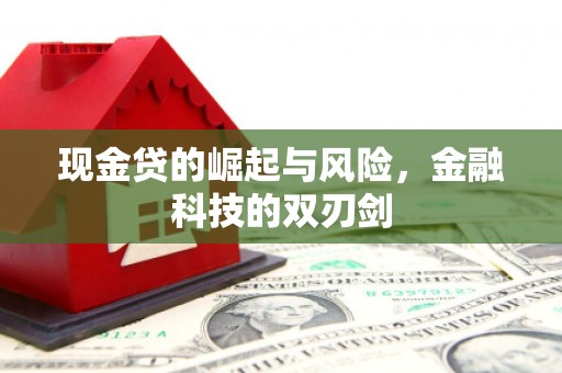 张家界现金贷的崛起与风险，金融科技的双刃剑