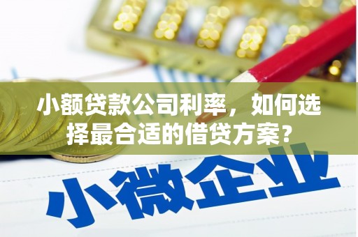 张家界小额贷款公司利率，如何选择最合适的借贷方案？