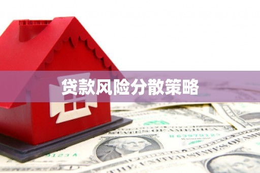 张家界贷款风险分散策略