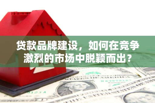 张家界贷款品牌建设，如何在竞争激烈的市场中脱颖而出？
