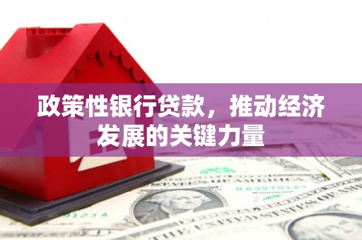 张家界政策性银行贷款，推动经济发展的关键力量
