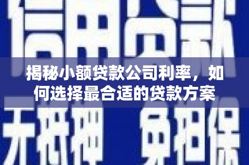 张家界揭秘小额贷款公司利率，如何选择最合适的贷款方案