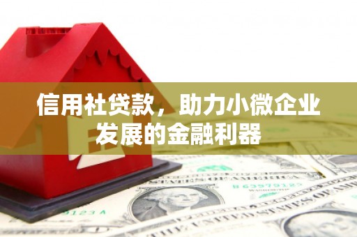 张家界信用社贷款，助力小微企业发展的金融利器