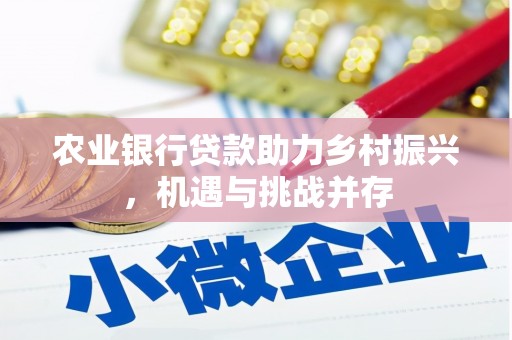 张家界农业银行贷款助力乡村振兴，机遇与挑战并存