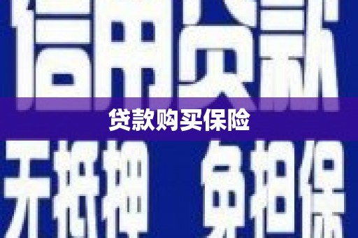 张家界贷款购买保险