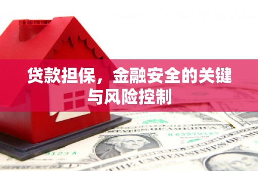张家界贷款担保，金融安全的关键与风险控制