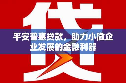 张家界平安普惠贷款，助力小微企业发展的金融利器