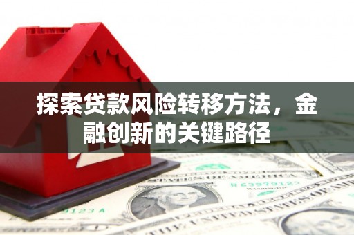 张家界探索贷款风险转移方法，金融创新的关键路径