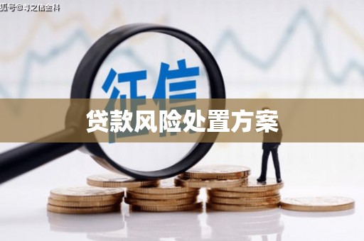 张家界贷款风险处置方案