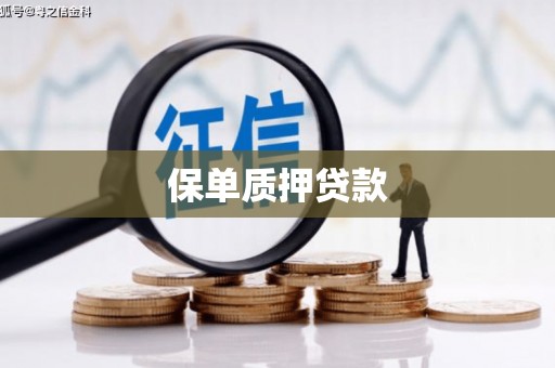 张家界保单质押贷款