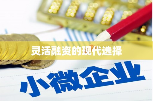 张家界灵活融资的现代选择