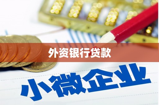 张家界外资银行贷款