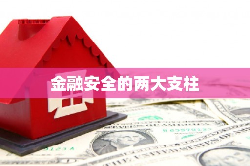 张家界金融安全的两大支柱