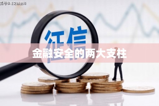 张家界金融安全的两大支柱