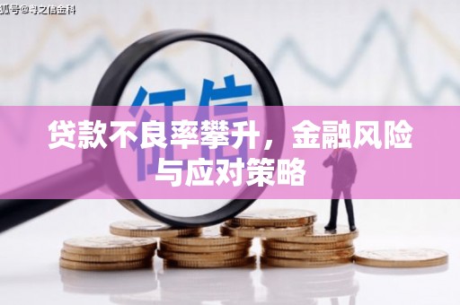 张家界贷款不良率攀升，金融风险与应对策略