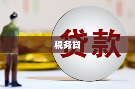 张家界税务贷